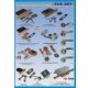 TRANSPORT, MONTAJ , DEBLOCARI USI METALICE NON STOP, CONSULTANTA